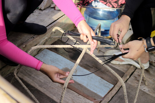Close-up view of hands attaching black cable ties to a spider-shaped metal rebar frame, preparing it for live coral fragments as part of a tropical reef restoration and Marine conservation project
