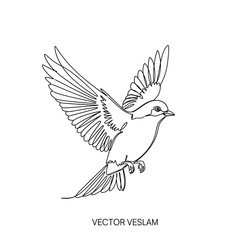 Obraz premium Line art of a flying bird with detailed wings