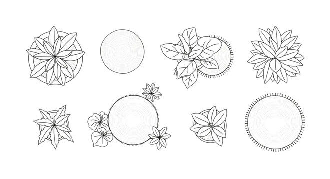 Vector Top View Architectural Floor Plan Symbols Featuring Potted Plants and Rugs Line Art