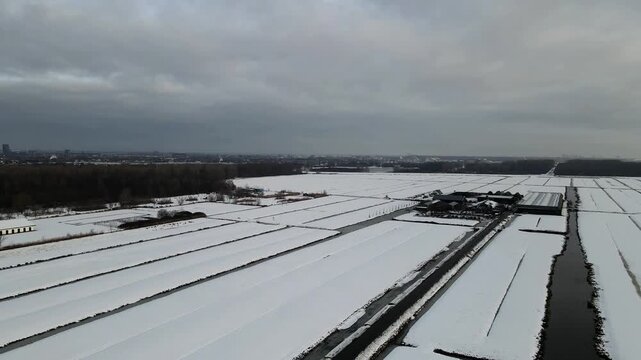 Aerial view of snow blankets the landscape, creating a serene, winter scene, contrasting with the dark trees, Delft, South Holland, Netherlands.