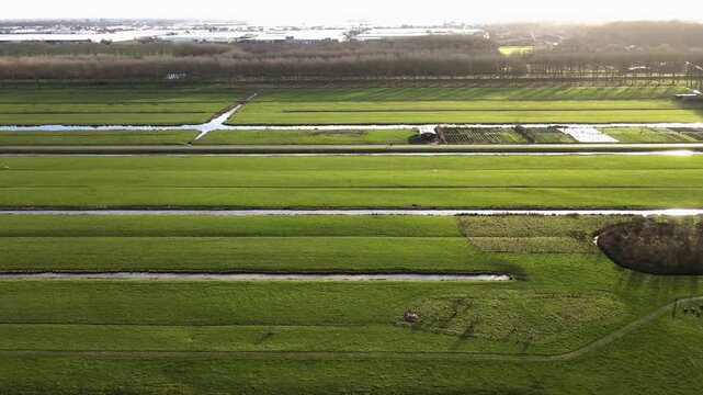 Aerial view of vibrant green fields divided by canals, creating a geometric pattern in the landscape, Delft, South Holland, Netherlands.
