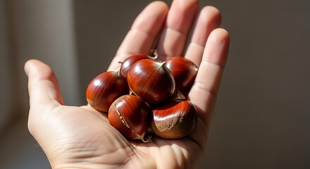 Hand holding chestnuts