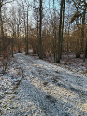 Snowy walking trail in the forest park.