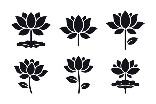 Vector lotus flower illustration set, floral design elements, lotus blossom graphic, water lily art