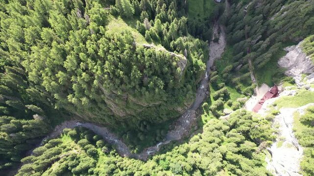 Aerial view of a river snaking through a gorge, framed by a dense forest of green trees, near Aleea Pestera, Moroeni, Judetul Dambovita, Romania.