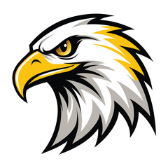 Fototapeta premium Detailed Stylized Eagle Head Vector Illustration