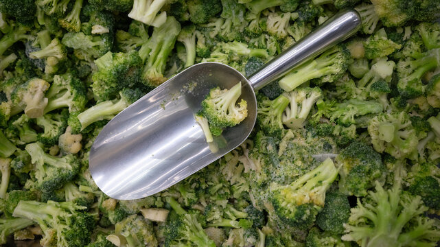 Frozen broccoli with metal scoop. Metal scoop in bulk frozen broccoli florets at supermarket vegetable section.