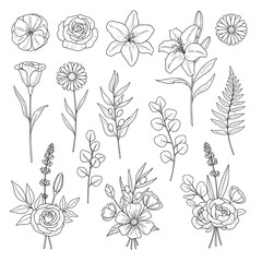 Fototapeta premium Hand drawn sketch flower vector set with stems, leaves, and bouquets for logos and invitations