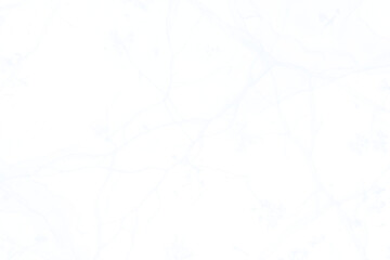 Isolated Cracked Ice Frost Overlay Texture. Transparent Frozen Surface, Winter Ice Crystals, Cold Atmosphere.