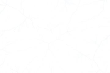 Isolated Cracked Ice Frost Overlay Texture. Transparent Frozen Surface, Winter Ice Crystals, Cold Atmosphere.