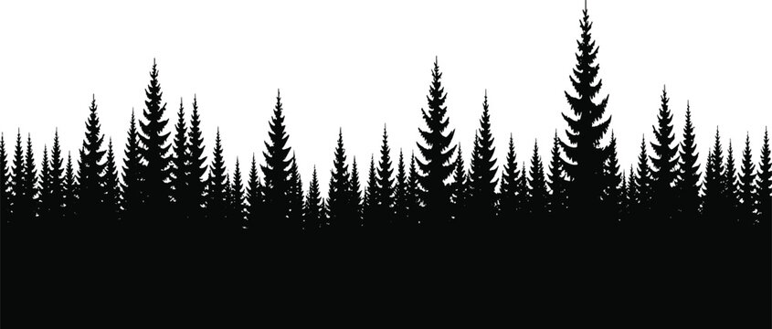 Dense pine forest silhouette treeline against white sky forming minimalist wilderness landscape background ideal for banners, headers, and stock design