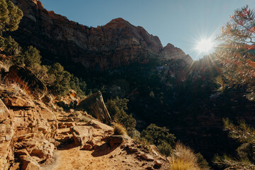 Fototapeta premium National Park Zion