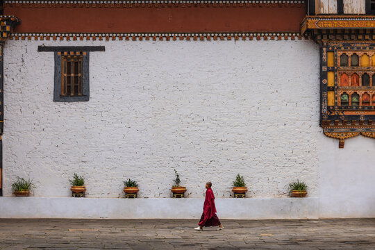 View of a solitary monk in flowing red robes walks past a textured white wall adorned with intricate window details, Rinpung Dzong, Paro, Bhutan.