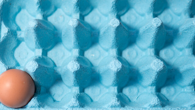 Single egg in empty carton close up, food shortage concept