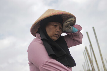 Middle-aged Asian female farmer wearing a woven bamboo hat wipes sweat from her forehead while resting during field work. Physical labor, fatigue, farming activity, and agriculture concept.