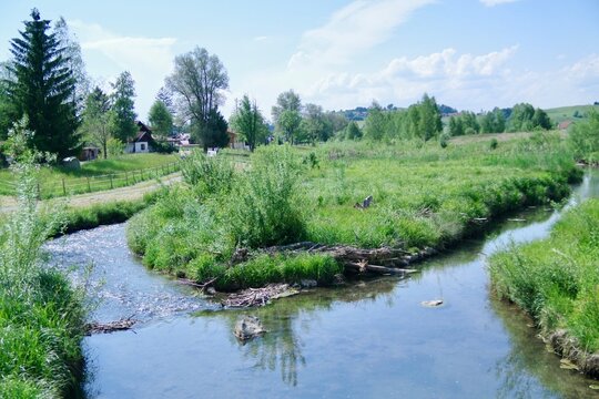 river in the Forest, halblech,Bayern