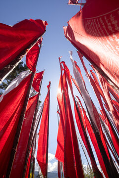 View of vibrant red prayer flags flutter against the clear blue sky, creating a striking contrast of color and movement, Kiki La Pass, Bumthang, Bhutan.