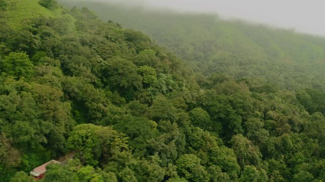 Aerial view of dense evergreen forest blanketing rolling hills, with mist clinging to the peaks, showcasing a vibrant tapestry of green, Sakleshpura, Karnataka, India.