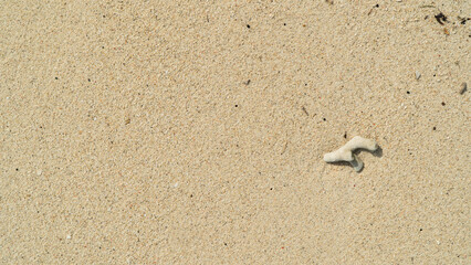 Fototapeta na wymiar Minimalist top view of fine white sand texture with a small coral piece. Sunlit, clean, and calm. Perfect for summer backgrounds, spa themes, or travel brochures with copy space.