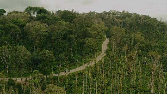 Aerial view of a winding road slicing through dense green forestation, highlighting the contrast between nature and infrastructure, Sakleshpura, Karnataka, India.