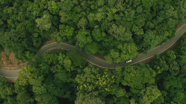 Aerial view of a winding road cutting through a dense forest, with a lone car navigating the curves, Sakleshpura, Karnataka, India.