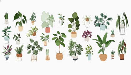 vector illustration of spring flowers