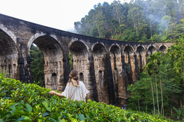 Obraz premium Woman in Tea Plantation Below the Nine Arches Railway Bridge, Ella, Sri Lanka