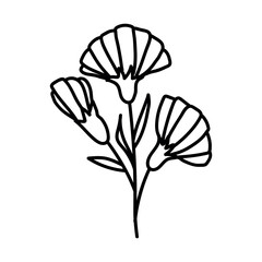 Hand drawn flowers. Doodles vector illustration. Isolated on a white background.