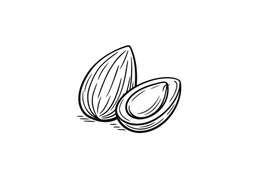 Almond Nut Silhouette Icon stcok Vector.