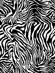 Fototapeta premium zebra pattern animal skin, black and white seamless abstract texture