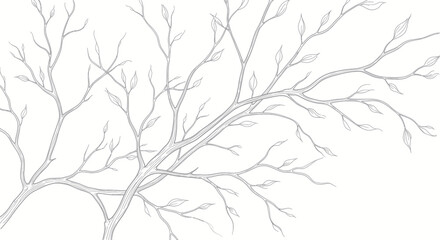 Obraz premium Minimalist line drawing of tree branches with delicate leaves on a white background.