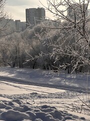 Urban winter landscape, snow-covered trees in a city park. European winter
