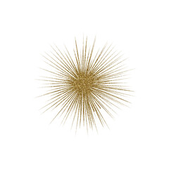 Obraz premium Gold circle. Golden sparkle ring. Shining circle frame, glowing halo aura and bright light particles. Luxury gold border isolated on transparent background for design. Flower gold ring