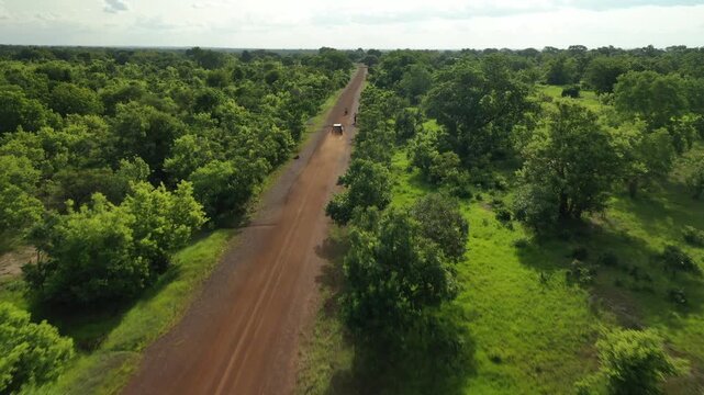Aerial view of a lone car kicking up dust on a long, straight, reddish-brown dirt road amid the green landscape, Daboya, Savannah Region, Ghana.
