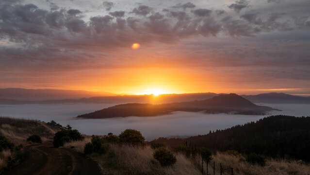 View of the sun burning through the morning mist, casting a warm glow over the rugged hills, with golden grasses in the foreground, Salmon Creek, California, United States.