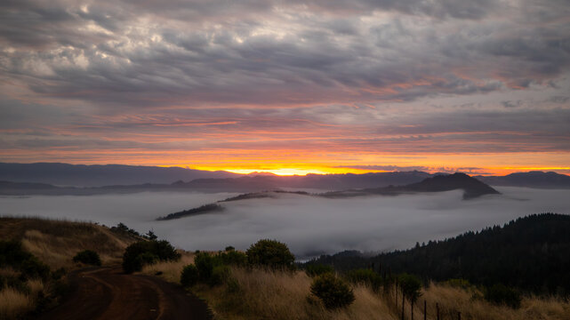 View of golden sunrise paints the sky above a sea of fog nestled between rolling hills, with a winding path in the foreground, Salmon Creek Road, California, United States.