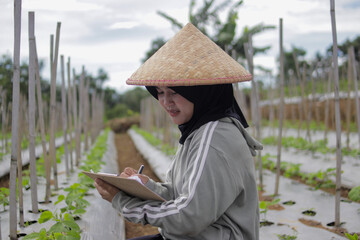 Young Asian woman farmer wearing a hijab and woven bamboo hat writes on a clipboard while observing crop growth in agricultural fields. Agriculture, rural livelihood, and outdoor lifestyle concept