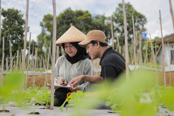 Young Asian female farmer wearing a hijab and woven bamboo hat stands with a young Asian man discuss their work together in agricultural fields. Teamwork, rural farming, agriculture concept