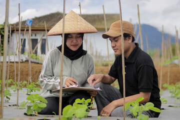 Young Asian female farmer wearing a hijab and woven bamboo hat stands with a young Asian man discuss their work together in agricultural fields. Teamwork, rural farming, agriculture concept