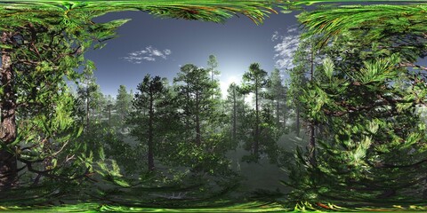 Trees in the fog. Environment map. HDRI map. equidistant projection. Spherical panorama. landscape
3D rendering