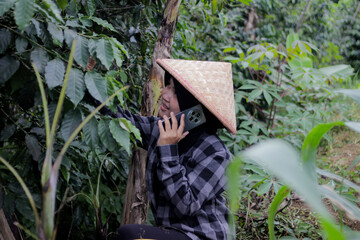 Young Asian female farmer wearing a hijab and woven bamboo hat talks on her phone while inspecting green, unripe coffee beans on tree branches. Coffee farming, agriculture, and rural work concept