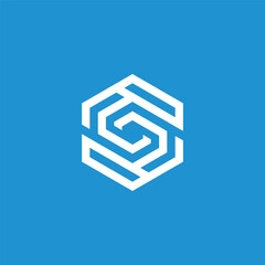 Fototapeta premium Abstract hexagonal geometric design, modern and minimalist logo concept, creative symbol for technology or business brands