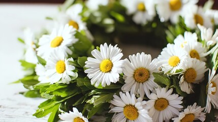 Obraz premium Fresh daisy flowers in circular arrangement, highlighting white petals and yellow centers with natural light.