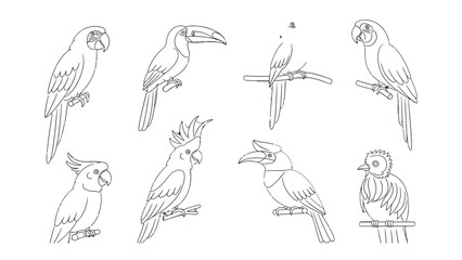 Fototapeta premium Exotic Birds Collection: A meticulously curated illustration showcasing a collection of unique bird species, each exquisitely detailed and drawn, displaying a variety of shapes and sizes. 