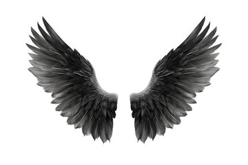 Obraz premium Black Angel Wings Isolated on White Background