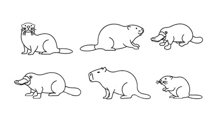 Wildlife Contour Sketch Collection: A simple monochrome contour drawing, a collection of assorted small and medium sized mammals that include a beaver, platypus and otter.