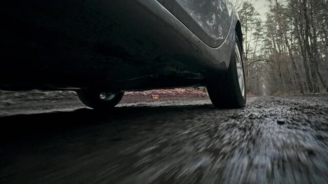 A car's rear wheel spins rapidly on a muddy forest road, splashing through puddles and liquid dirt, illustrating the vehicle's tire grip and automotive capabilities amidst challenging off-road terrain