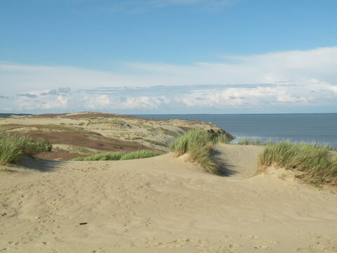 Sand dunes and coastal landscape on the Curonian Spit