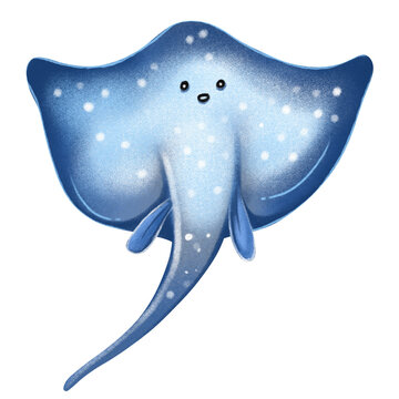 Pari Fish Illustration cartoon cute digital drawing