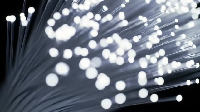 Abstract fiber optic cables illuminated against a dark backdrop